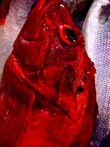 P1020078