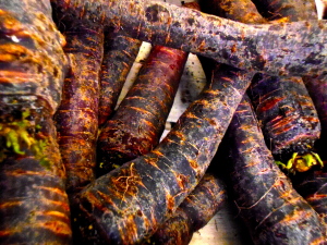 P1020089