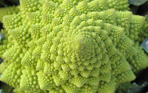 broccolo-romanesco