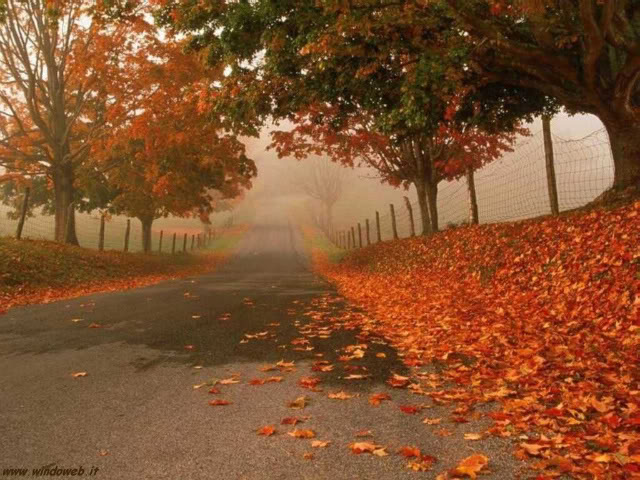 autunno_358