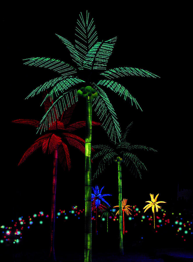 night-lights-electric-palm-trees-karon-melillo-devega