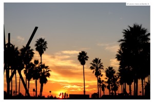 voyage-los-angeles-venice-beach-sunset