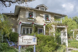 Ojai-Lavender-Inn_11